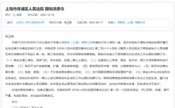 败诉被判赔17万元！车顶维权女车主回应被特斯拉申请限高 ！