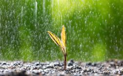 新一轮降雨今起将影响北方地区：时间长 雨量大 ！