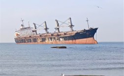 摄影师霸占网红景区沙滩称10万买地 官方回应：无私人承包 !
