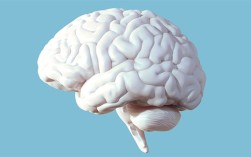 研究发现大脑“断崖式衰老”的3个年龄：57岁、70岁和78岁 ！