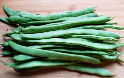 四季豆的种植技术与管理（指导四季豆的种植技巧和养护方法） ！