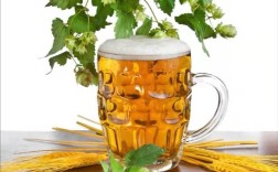 啤酒是否适合浇花（探讨啤酒对哪些花植物适用于浇水） ！