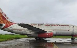 都长青苔了 印度人13年前弄丢一架飞机：被通知找到时一脸懵 ！