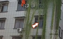 浙江一居民楼出现空心菜“瀑布” 从5楼挂到1楼 !