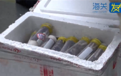 “女士上衣”快递被截获 打开大吃一惊：7400只蚂蚁 ！