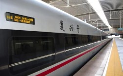 居然有车次“0000”的高铁 这是啥车 ！