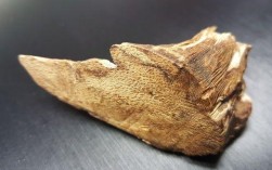白奇楠沉香的特点解析（介绍白奇楠沉香的特征和特点） ！