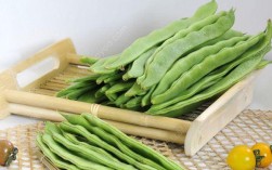 四季豆是发物吗（探究四季豆是否属于发物类食材） ！