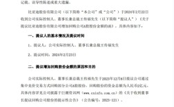 加大股票回购力度：王传福提议将回购金额增加一倍 ！