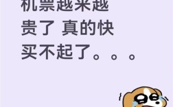 要坐不起飞机了！5月多家航司燃油附加费大幅上调：最高涨200% ！