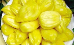 菠萝蜜未熟催熟方法（介绍未熟的菠萝蜜如何催熟的方法） ！