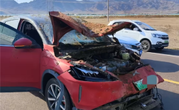 男子自驾游撞死8匹马 司机：辅助驾驶开的 车辆只有交强险 !