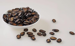 西瓜种子何时播种（什么时候是西瓜播种的最佳时间） ！