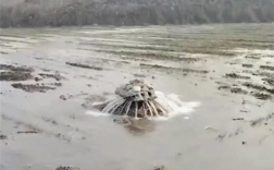 山东一闲置水井突喷热水变“温泉” 当地回应：降水较多 非人为原因 ！