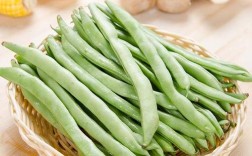 四季豆发芽出土所需时间（指导四季豆发芽和出土的时间统计） ！