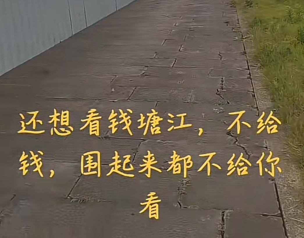钱塘江被围起来不给钱不给看?不实，堤防提标，此后可抗住300年一遇大潮 ！-图1