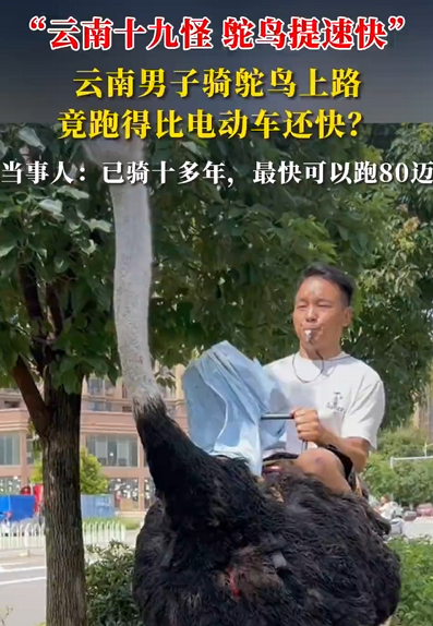 男子骑鸵鸟上路称“比电动车还快” 当事人：已骑十多年 最快可以跑80迈 续航惊人 !-图1