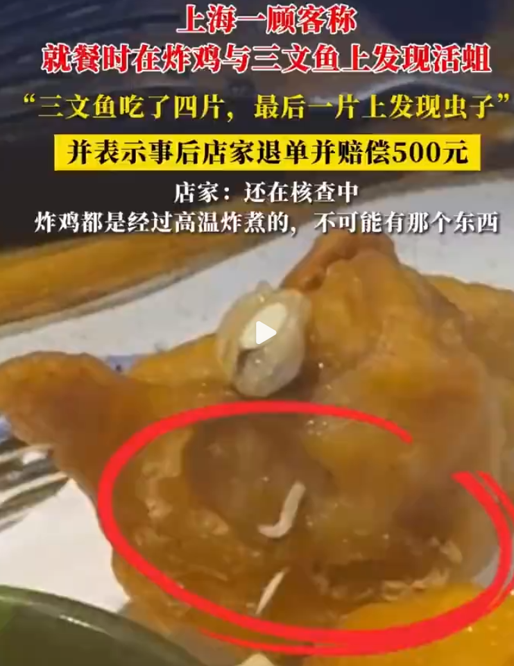 网友称在上海一日料店里吃出活蛆！店家回应：还在核查中 ！-第1张图片