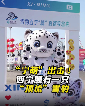 起猛了 052D上居然有只“雪豹” ！你和它合影了吗？-第1张图片
